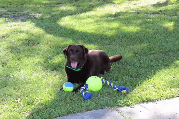 San Marco Animal Hospital Picture 6