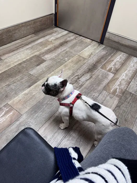 San Marco Animal Hospital Picture 10