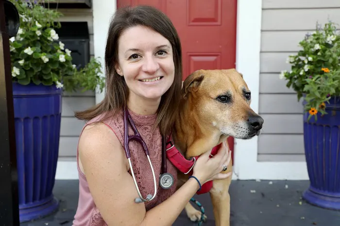 Pawsitive Healing Mobility Center Picture 4