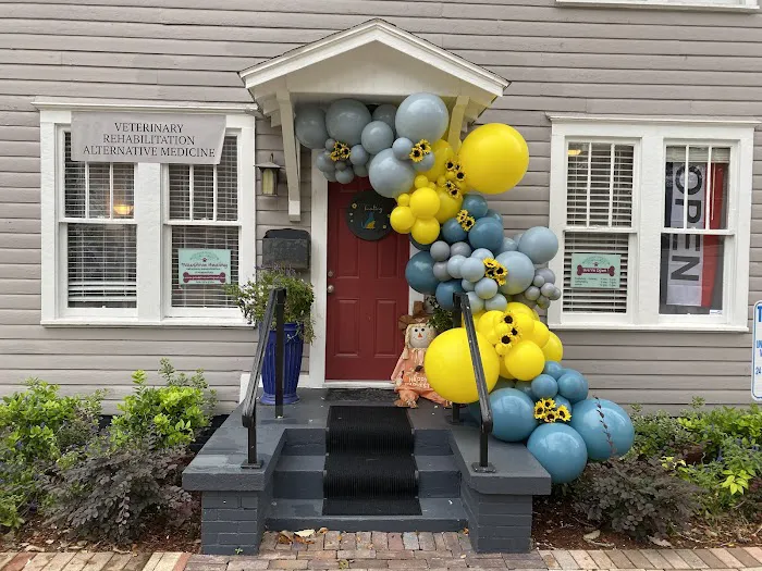 Pawsitive Healing Mobility Center Picture 7