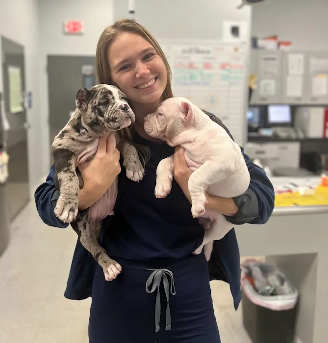 Forever Vets Animal Hospital - Riverside Picture 3
