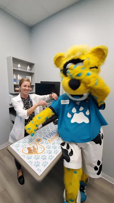 Forever Vets Animal Hospital - Riverside Picture 6