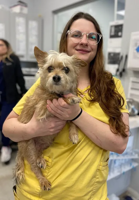 Forever Vets Animal Hospital - Riverside Picture 4