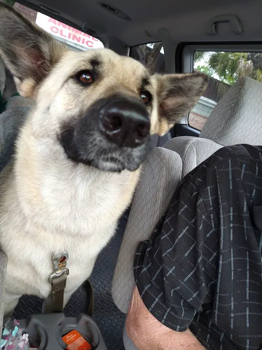Brentwood Animal Clinic Picture 5