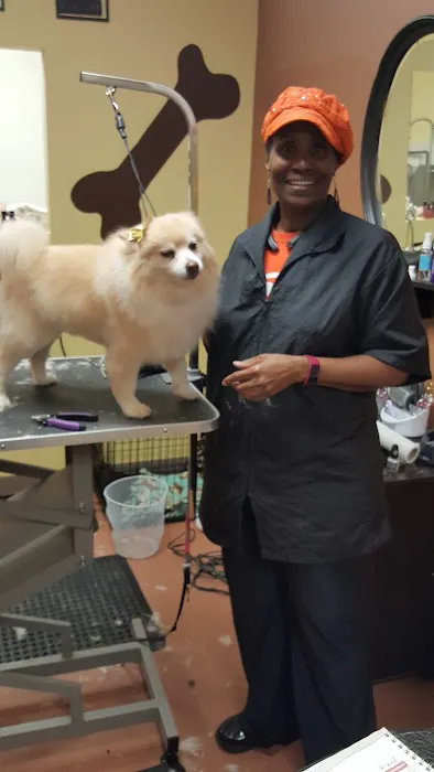 Pet Doctors Picture 7