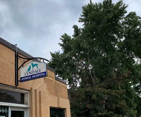 Lyndale Animal Hospital