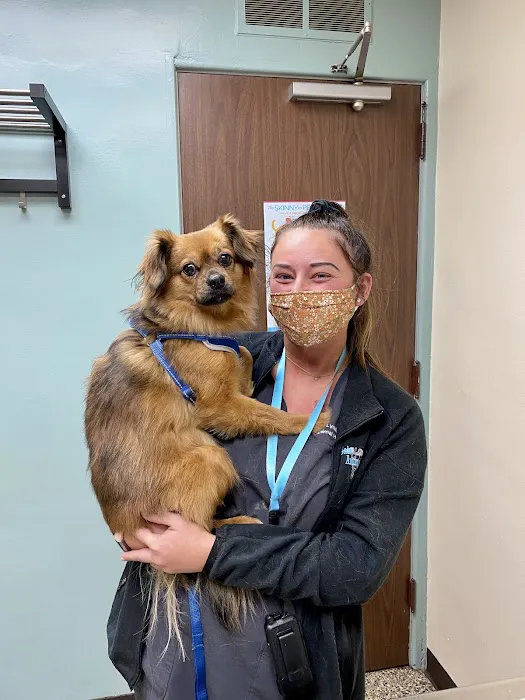 Lyndale Animal Hospital Picture 8