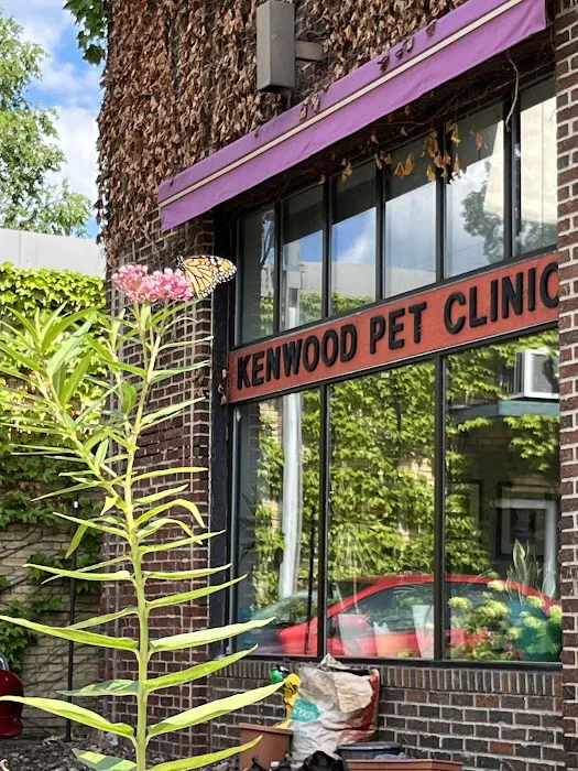 Kenwood Pet Clinic Picture 2