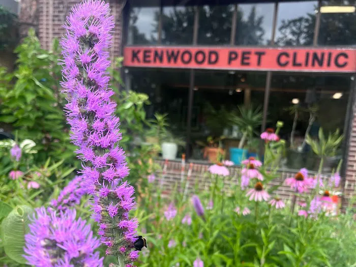 Kenwood Pet Clinic Picture 6