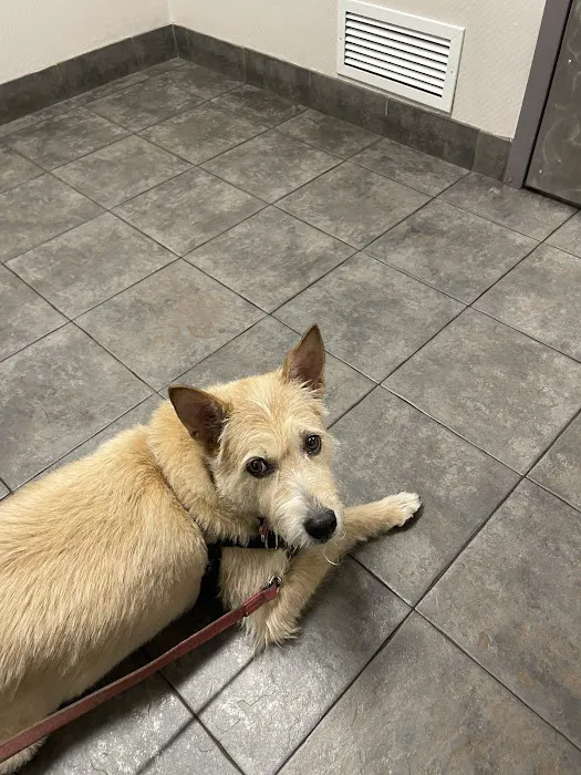 Kenwood Pet Clinic Picture 9
