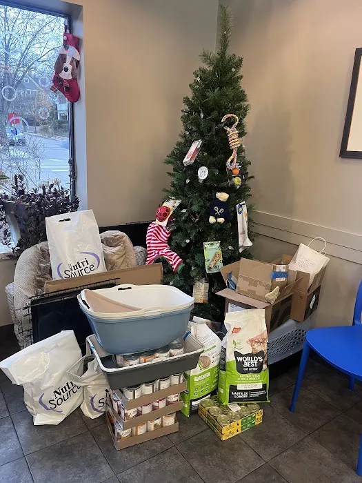 Kenwood Pet Clinic Picture 10