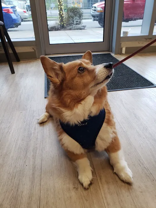 Wildwood Veterinary Clinic Picture 3