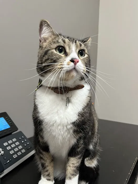 Wildwood Veterinary Clinic Picture 5