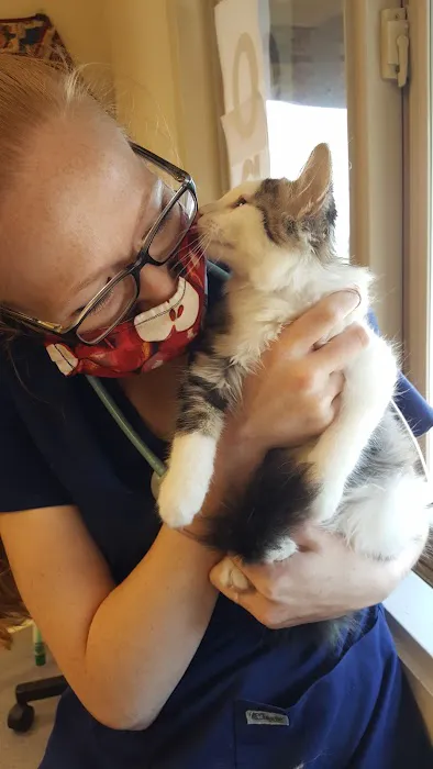Best Friends Veterinary Medical Center Picture 2