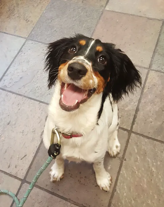 Best Friends Veterinary Medical Center Picture 5