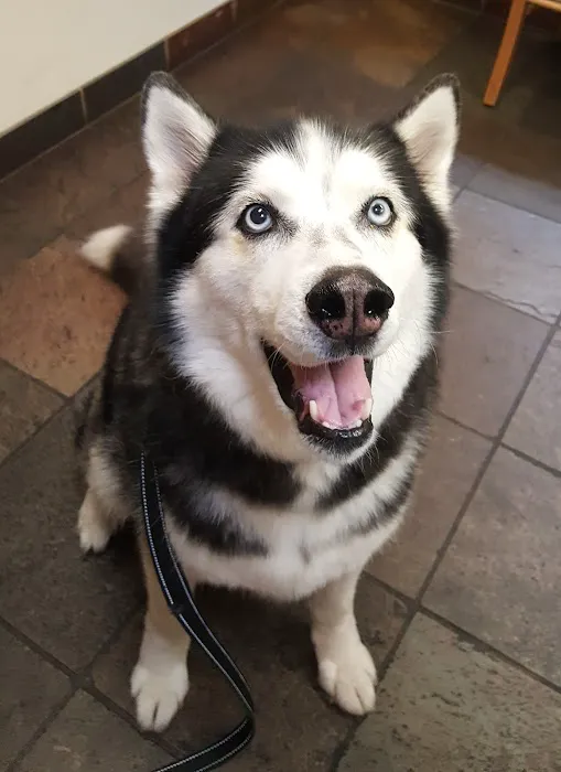 Best Friends Veterinary Medical Center Picture 6