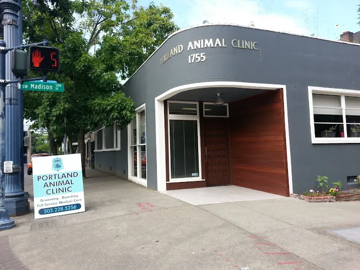 Portland Animal Clinic Picture 2