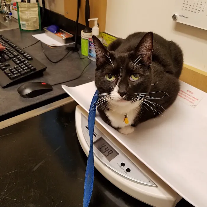 Banfield Pet Hospital Picture 1