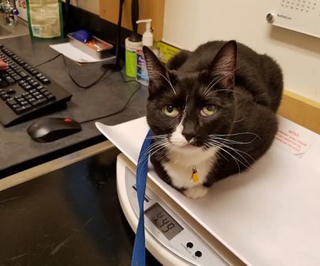 Banfield Pet Hospital