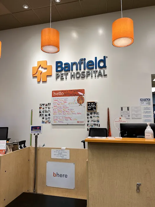 Banfield Pet Hospital Picture 4