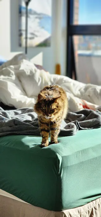 Banfield Pet Hospital Picture 6