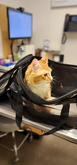 Banfield Pet Hospital Picture 10