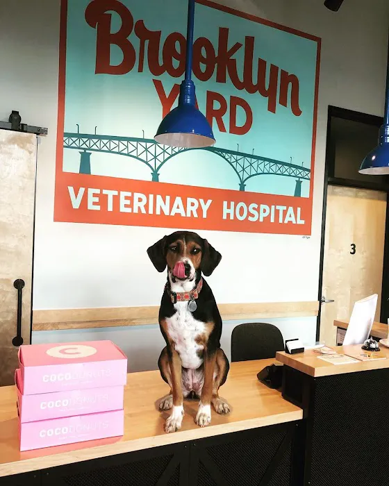 Brooklyn Yard Veterinary Hospital Picture 2