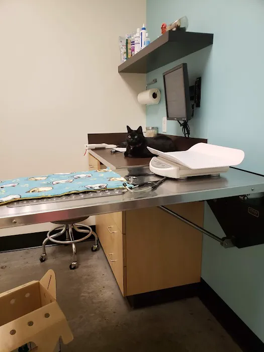 Pearl Animal Hospital Picture 5