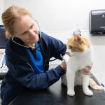 DoveLewis Specialty Care