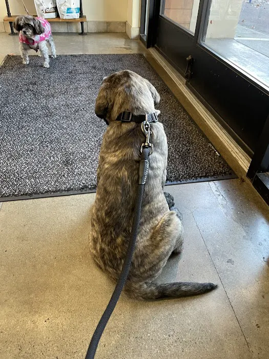 Pet Samaritan Clinic Picture 1
