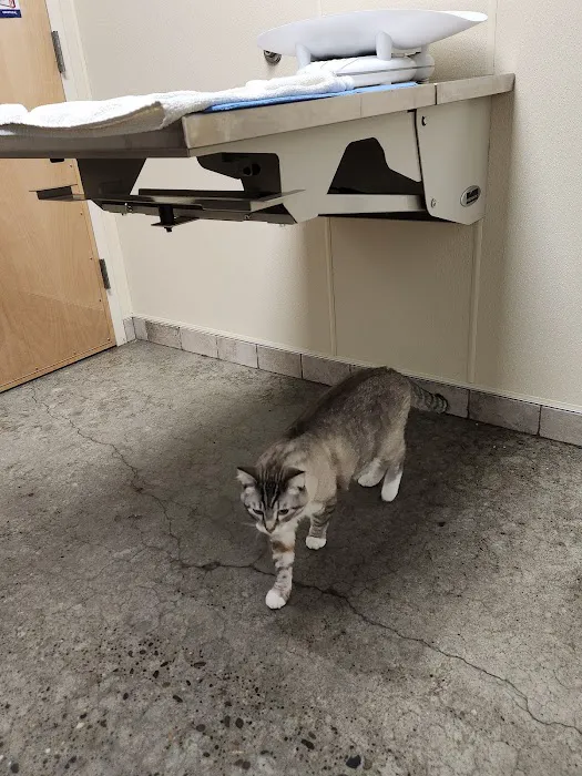 Pet Samaritan Clinic Picture 2