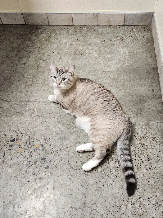 Pet Samaritan Clinic Picture 8