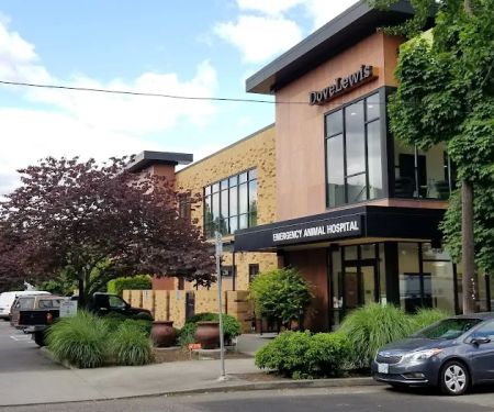 DoveLewis 24/7 Veterinary Emergency Hospital