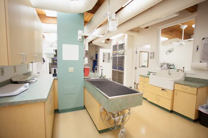 Hillsdale Veterinary Hospital Picture 1