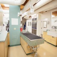 Hillsdale Veterinary Hospital ico