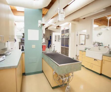 Hillsdale Veterinary Hospital