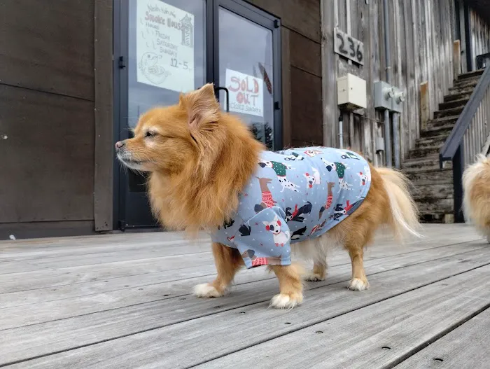 Hillsdale Veterinary Hospital Picture 9