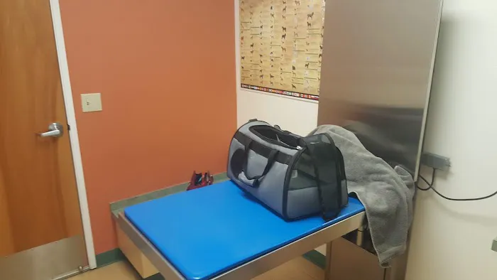 Hillsdale Veterinary Hospital Picture 10