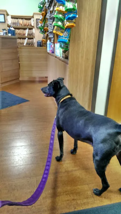 Hawthorn Veterinary Care (formerly Hawthorne Veterinary Clinic) Picture 1