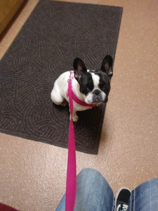 Hawthorn Veterinary Care (formerly Hawthorne Veterinary Clinic) Picture 2