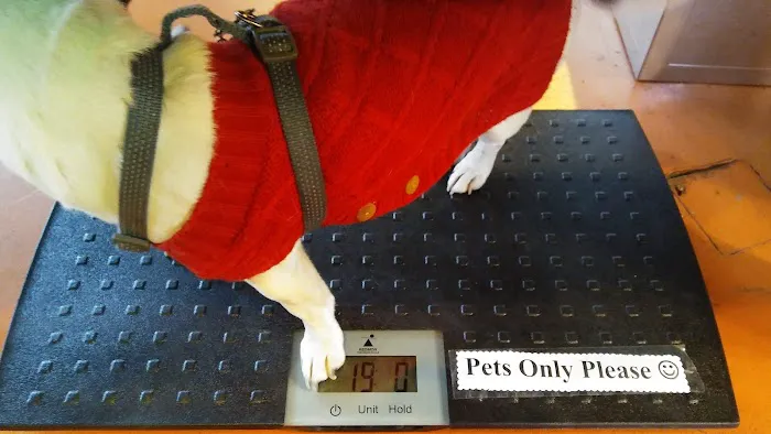 Hawthorn Veterinary Care (formerly Hawthorne Veterinary Clinic) Picture 4