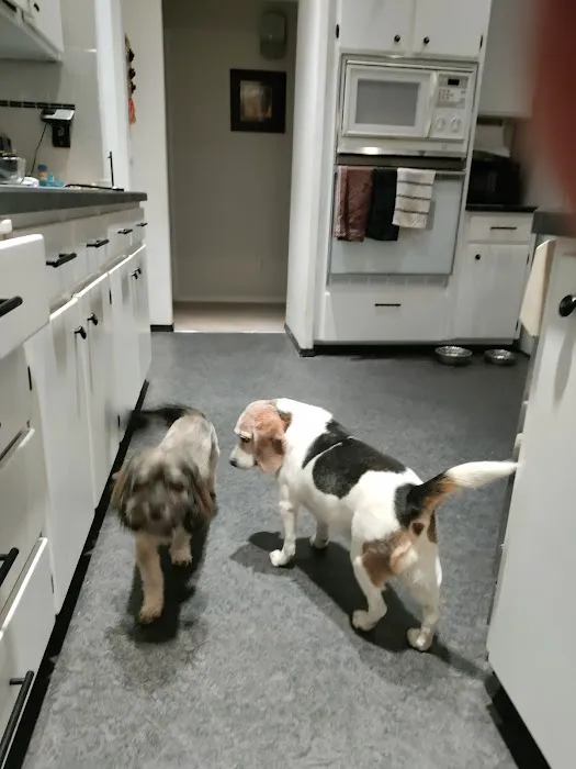 Banfield Pet Hospital Picture 9