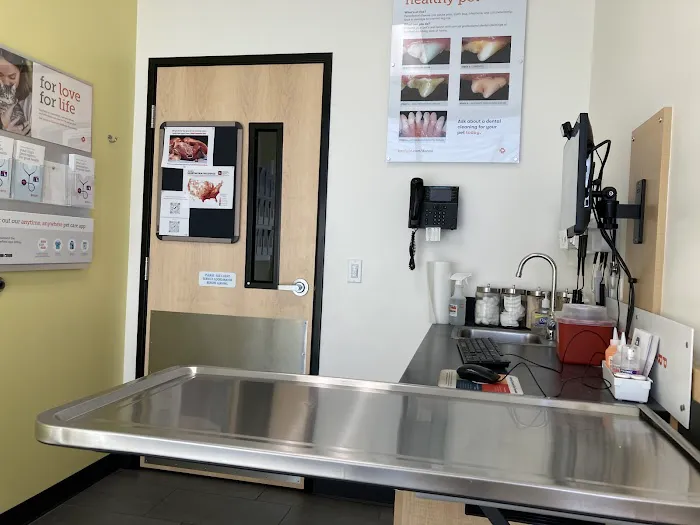 Banfield Pet Hospital Picture 10