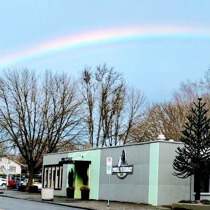 Powell Veterinary Center At Westmoreland Picture 3