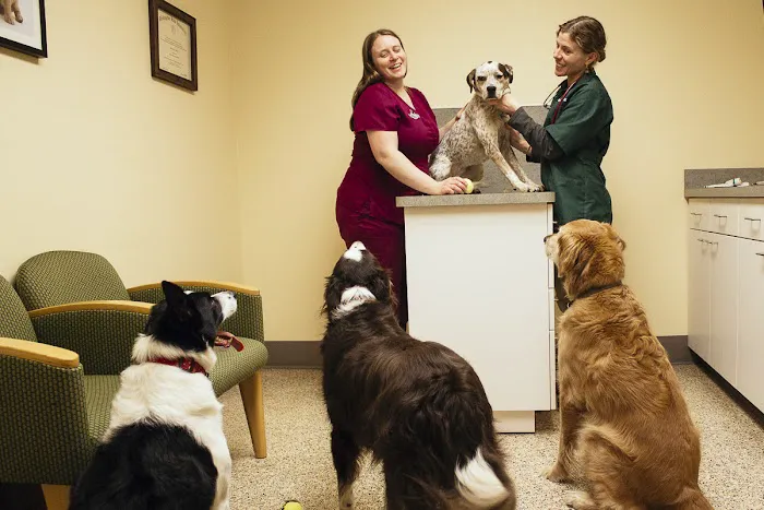Powell Veterinary Center At Westmoreland Picture 2