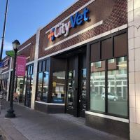 CityVet | Capitol Hill Veterinary Clinic & Urgent Care ico