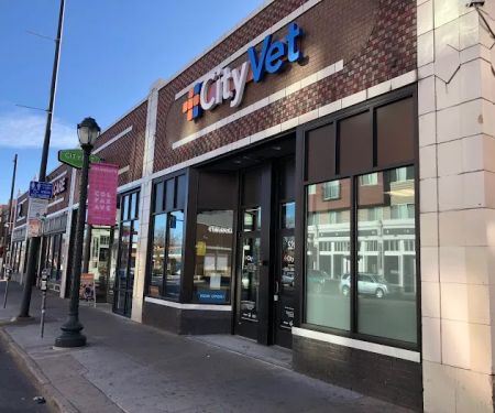 CityVet | Capitol Hill Veterinary Clinic & Urgent Care
