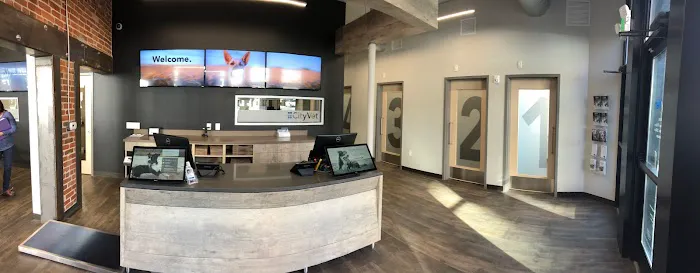 CityVet | Capitol Hill Veterinary Clinic & Urgent Care Picture 7