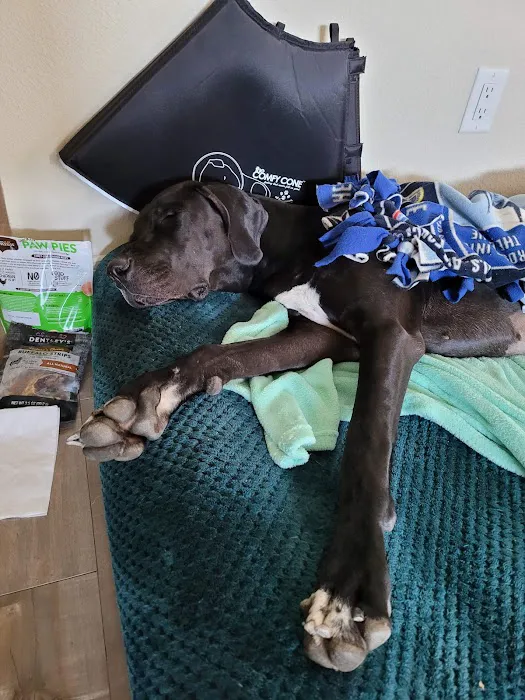 Downtown Animal Care Center Picture 9