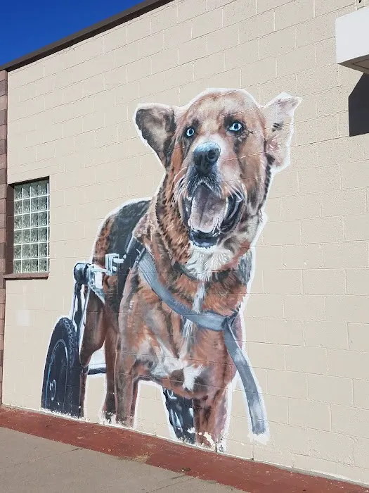 MaxFund Veterinary Clinic Picture 2